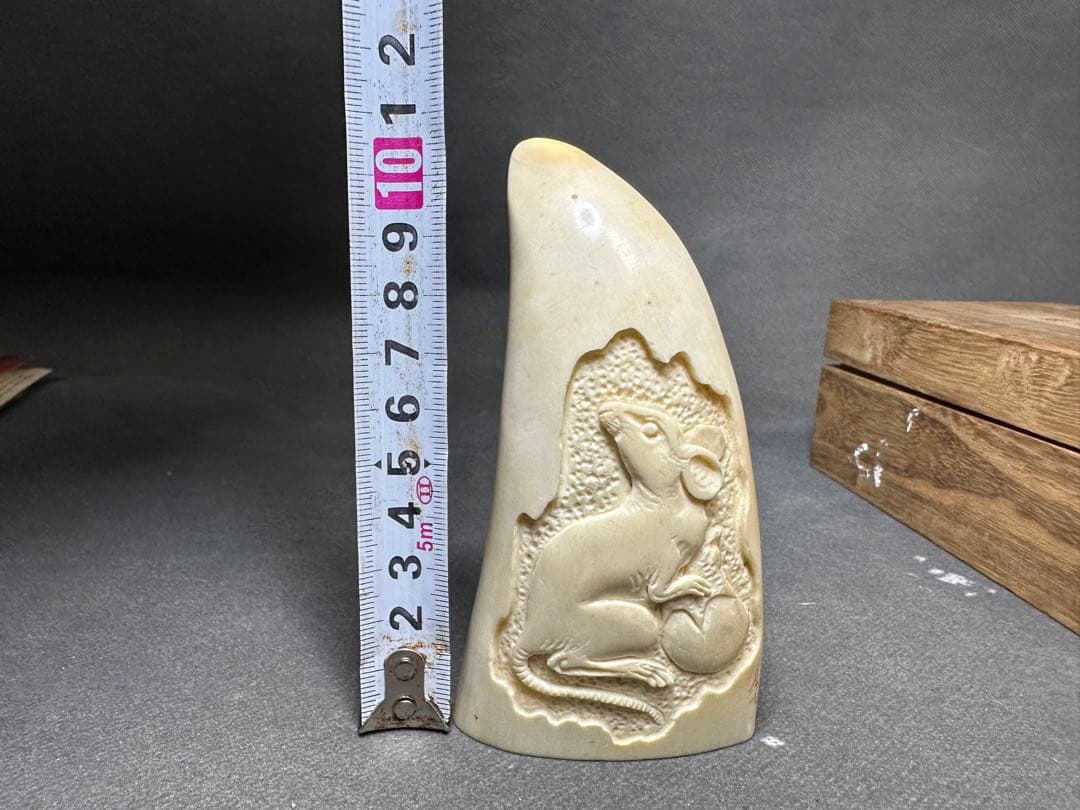 鯨歯 マッコウクジラ 天然素材 アンティーク 骨董 飾り物 古美術品 置物