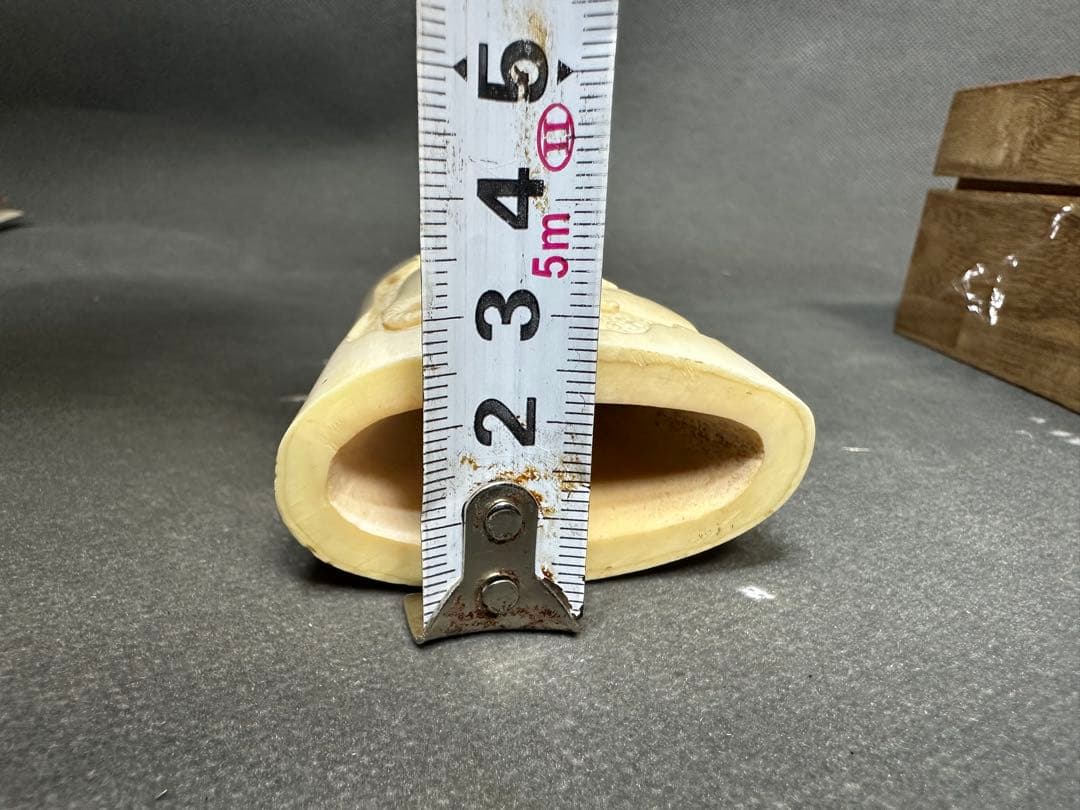 鯨歯 マッコウクジラ 天然素材 アンティーク 骨董 飾り物 古美術品 置物