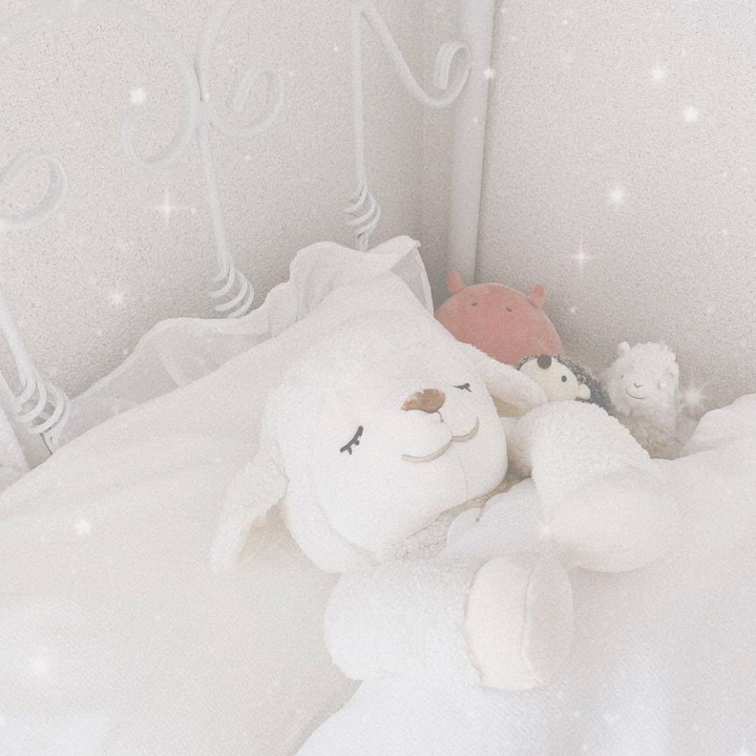 ロマンティックプリンセス/ホワイト/シングルベッドフレーム