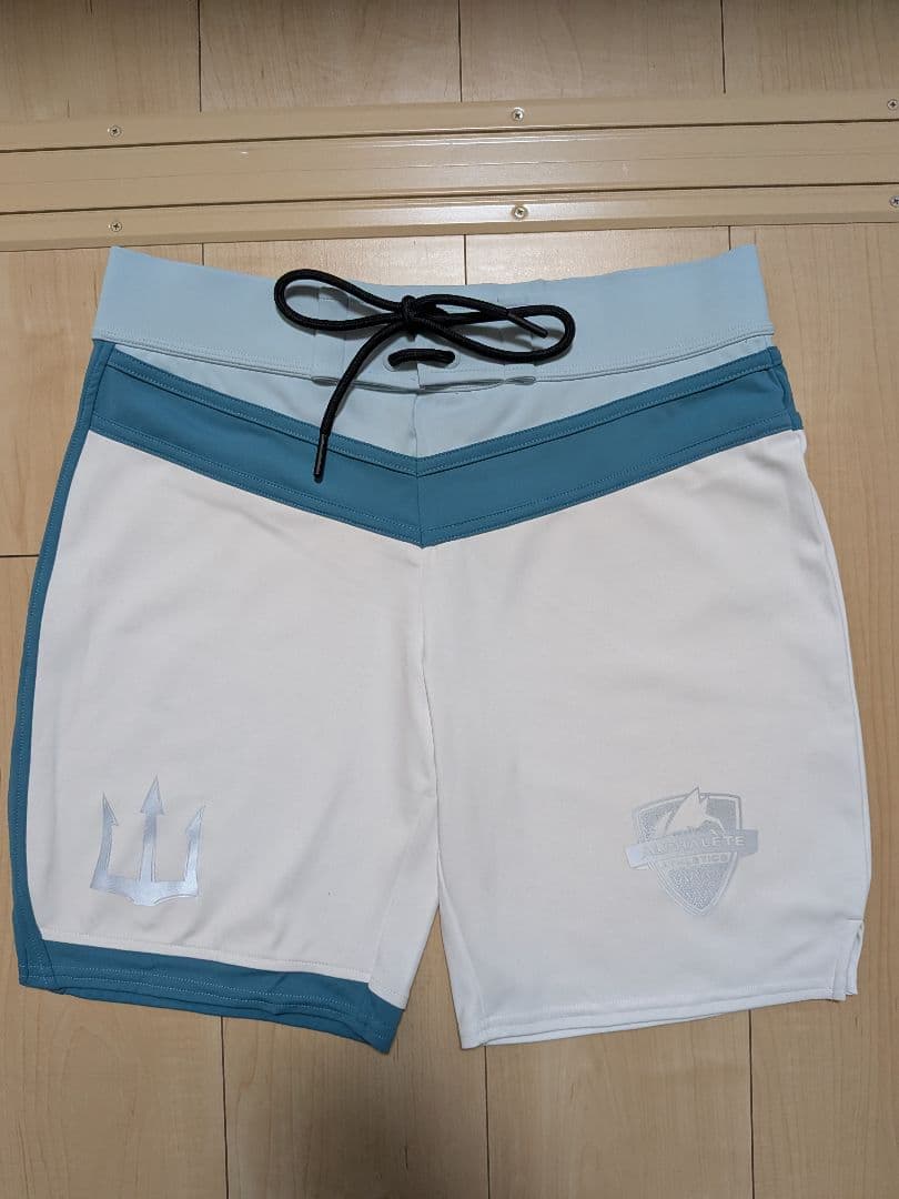 アルファリート サーフパンツ 28インチ フィジーク