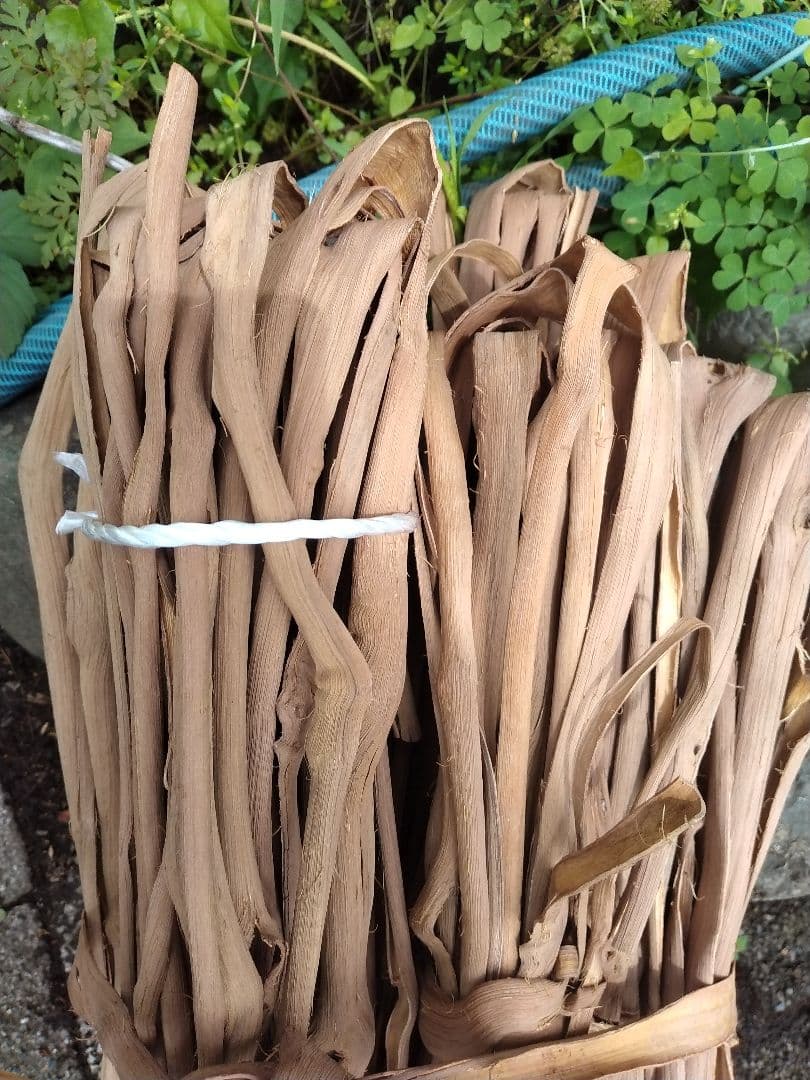 その他 yamabudounokago