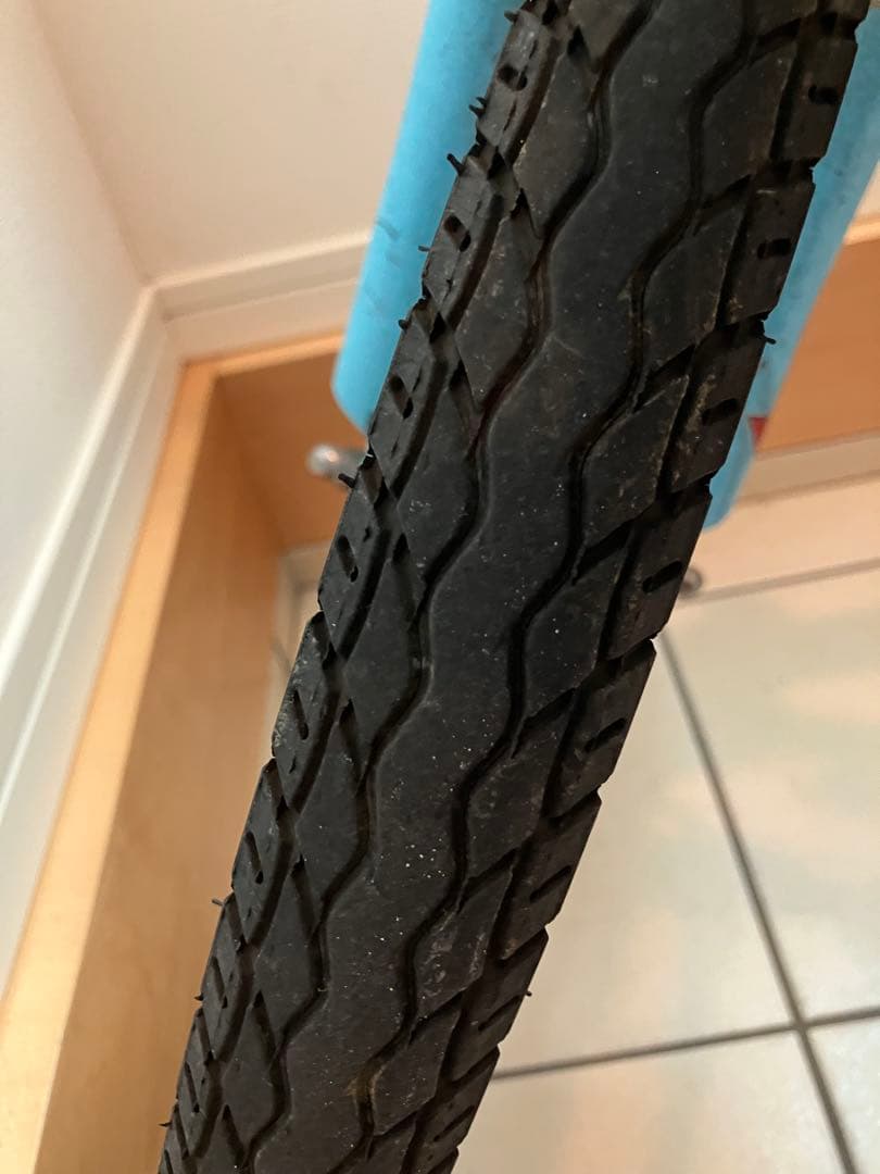 ルイガノ LGS-J22 PLUS 22型 アルミ シマノ　東京　子供用　自転車