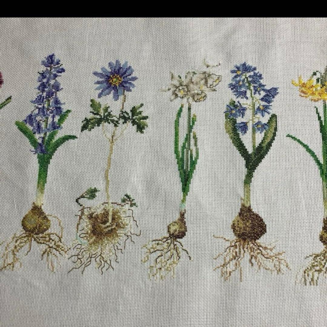 テアグーベルヌール　キット