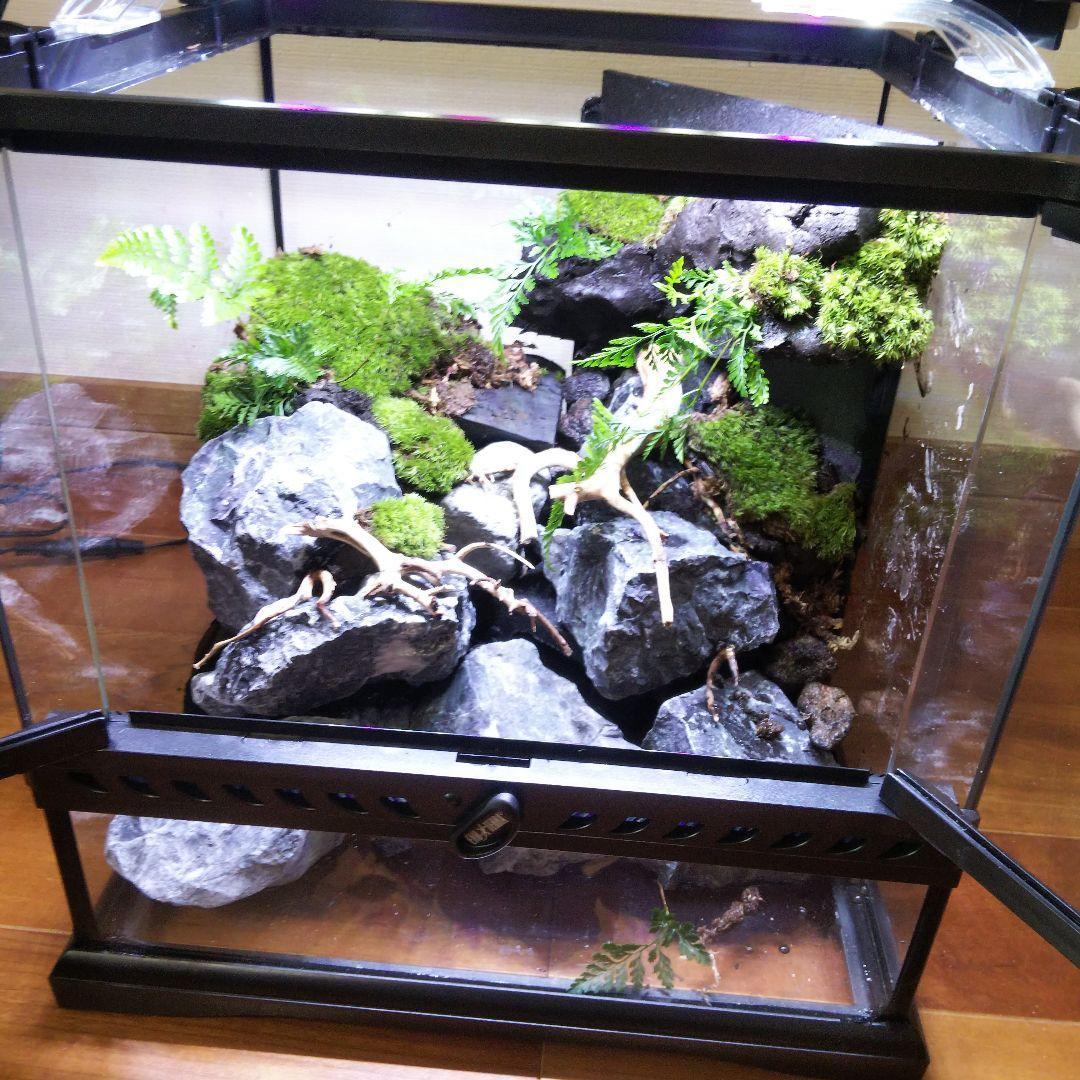 ラルママページ