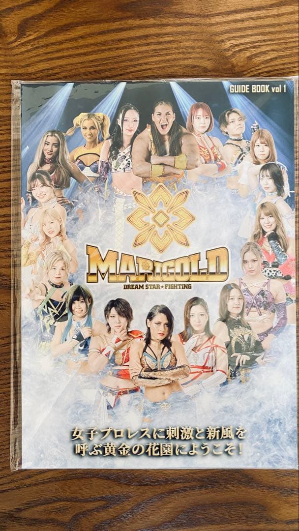 マリーゴールドはここから始まった！　旗揚げガイドブック　Vol.1、2 セット