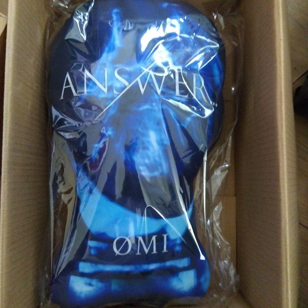 登坂広臣クッション 希少 レア SPECIAL／SECRET