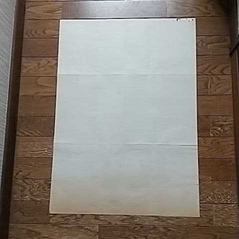 洋画    招かれざる客＆パンフレット付き