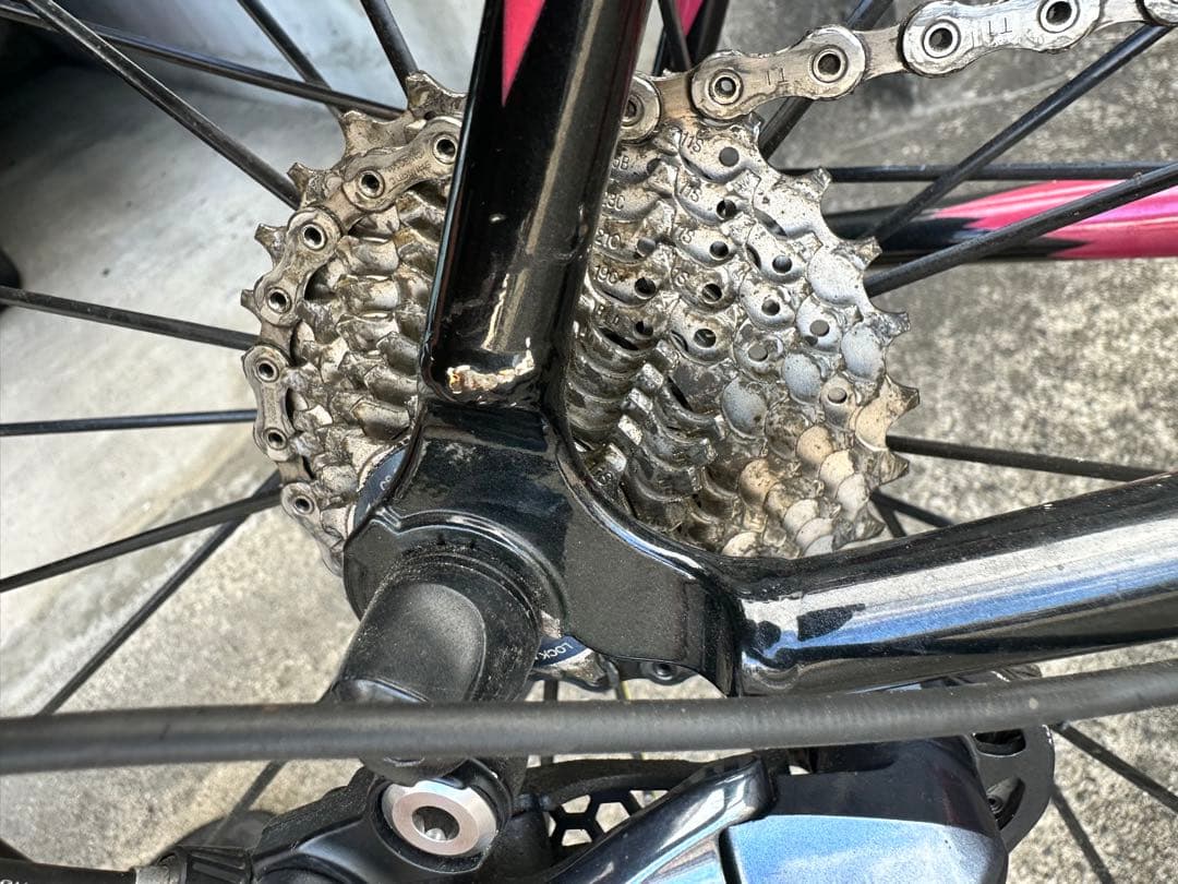 チネリ　ヴィゴレッリロード　Ｍサイズ