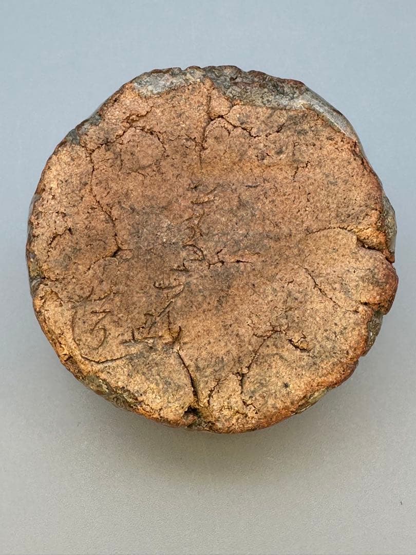 茶道具　香合　須田菁華　鹿香合