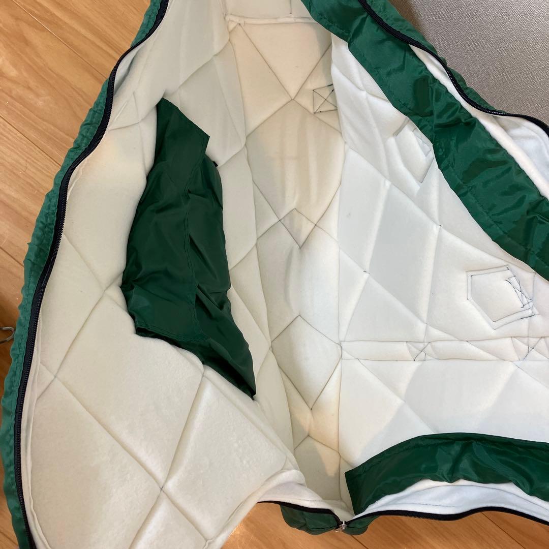 青山　サウルハープ　25弦　布製ケース　リュックタイプ