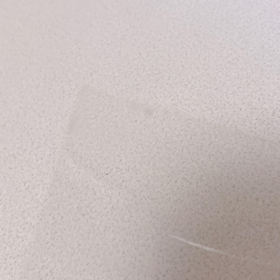 エヴァンゲリオン プリント倶楽部 限定 レトロ 手描き セル画 渚カヲル