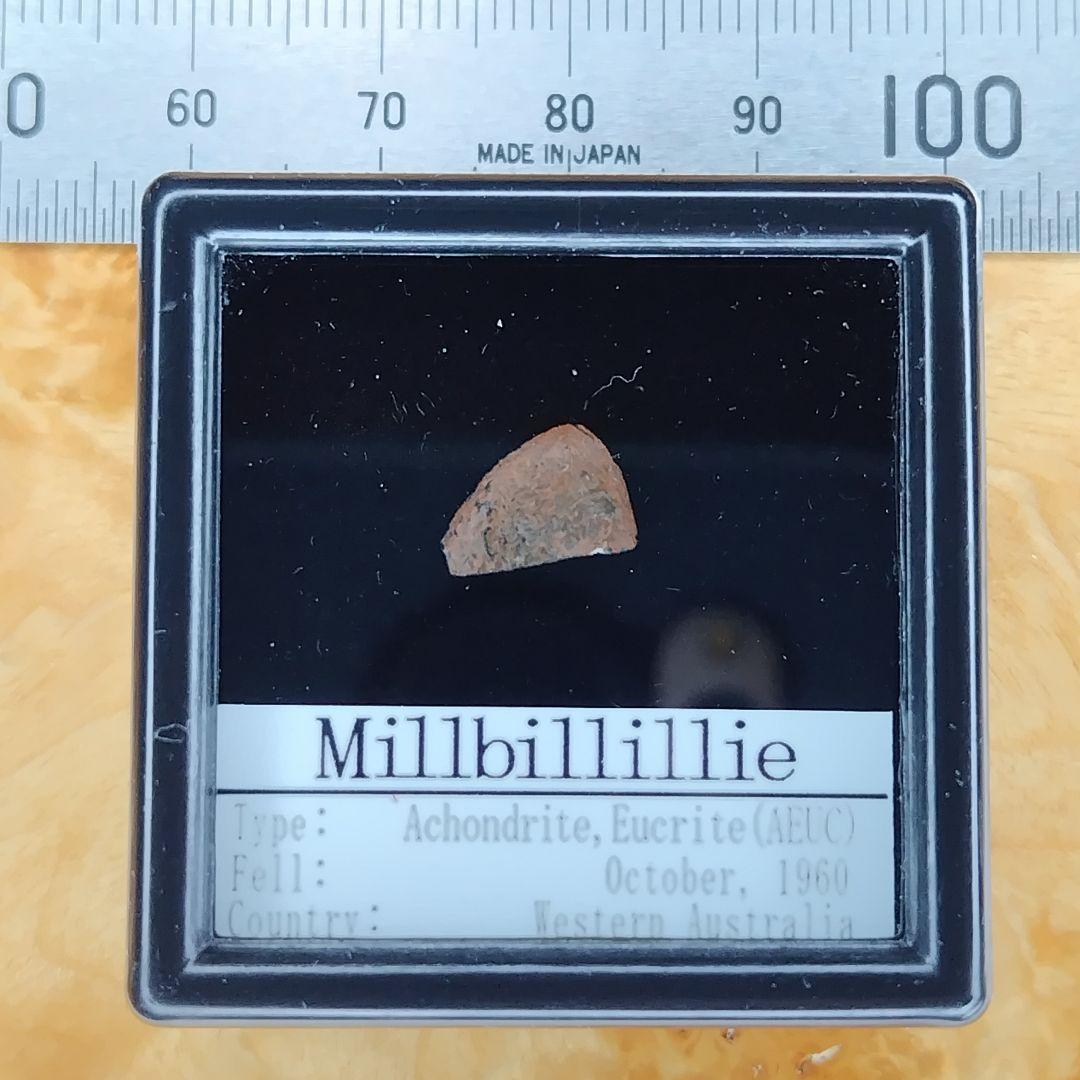 見る！?ミルビリリー隕石 標本