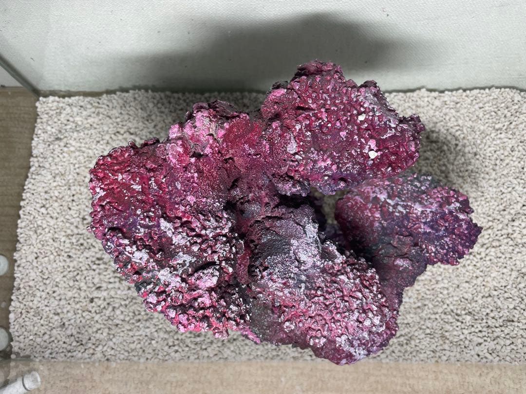 人工ライブロック SHR37 アク抜き済み安心塗料使用