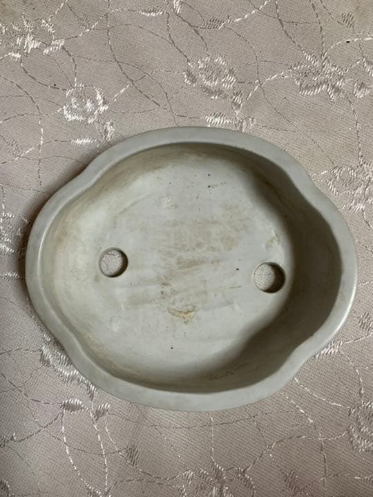 武州　絵鉢　盆栽鉢