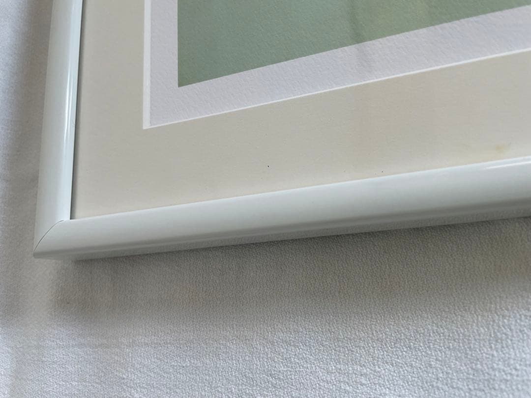 タイラー・ウォーレン Tyler Warren bunny 2015’