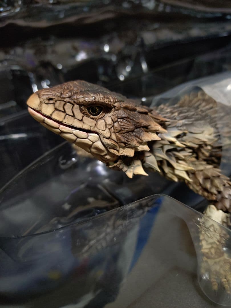 いきもの大図鑑アルティメット オオヨロイトカゲ　開封品