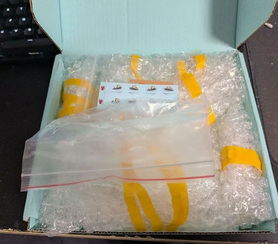 た*う様 FGO メリュジーヌ メイド　ガレージキット　正規品