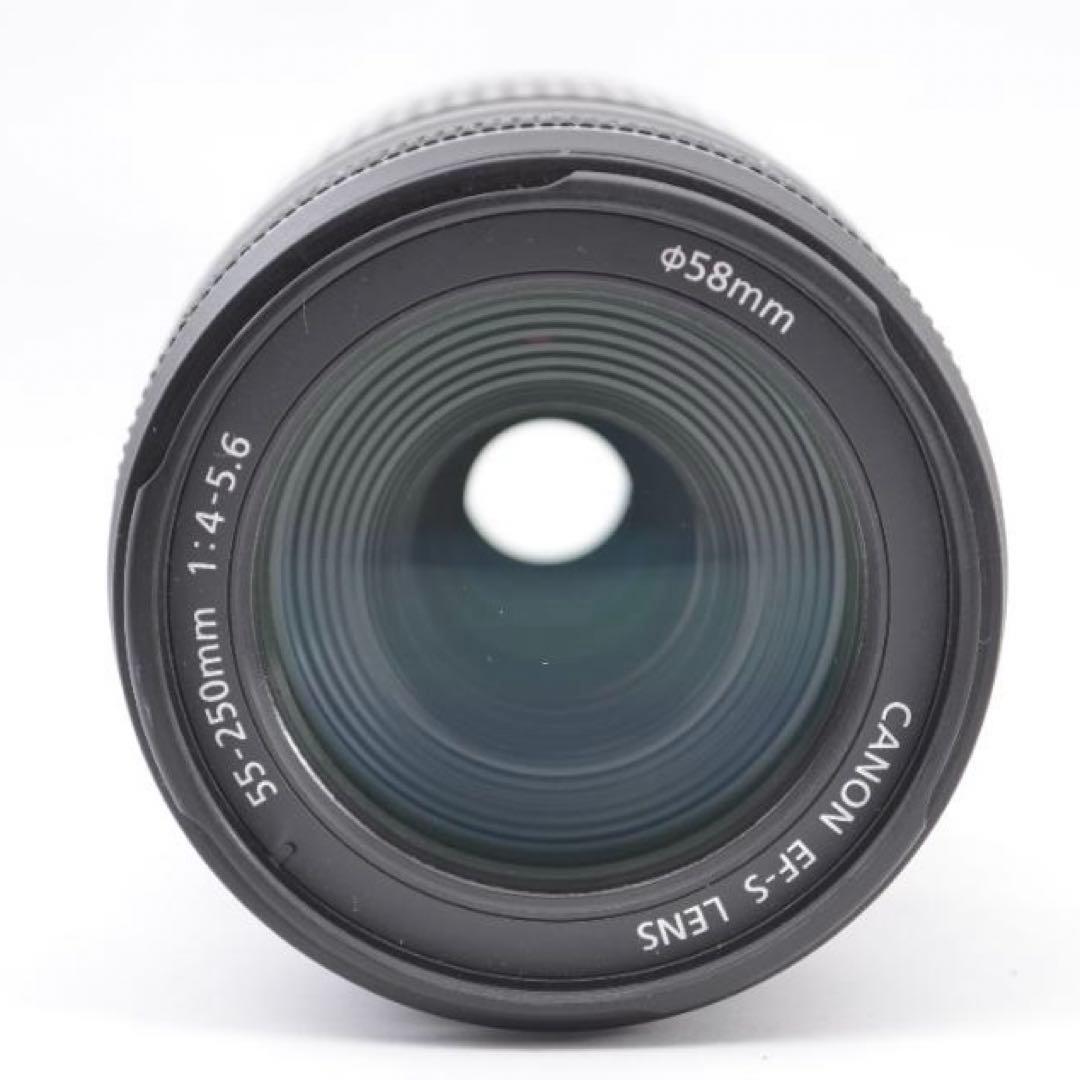 野鳥も撮れる❣️ Canon EF-S 55-250mm IS II 望遠ズーム