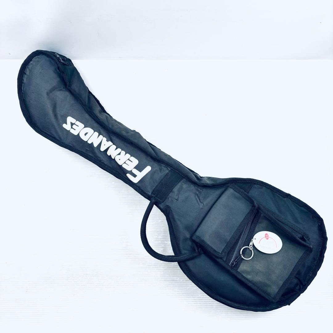 FERNANDES フェルナンデス　Zo-3 エレキギター　　純正ソフトケース付