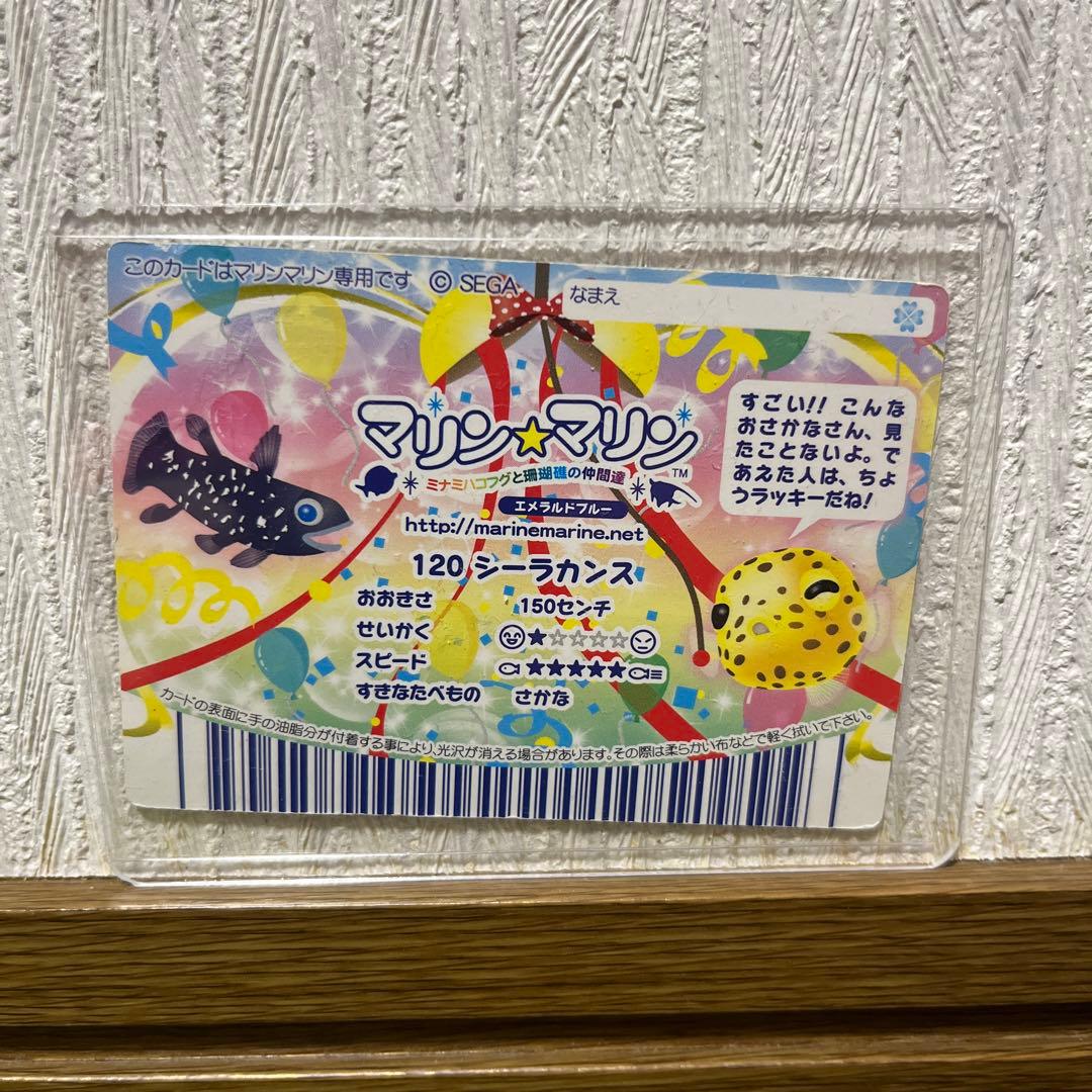 (即購入可能)マリンマリン　シーラカンス
