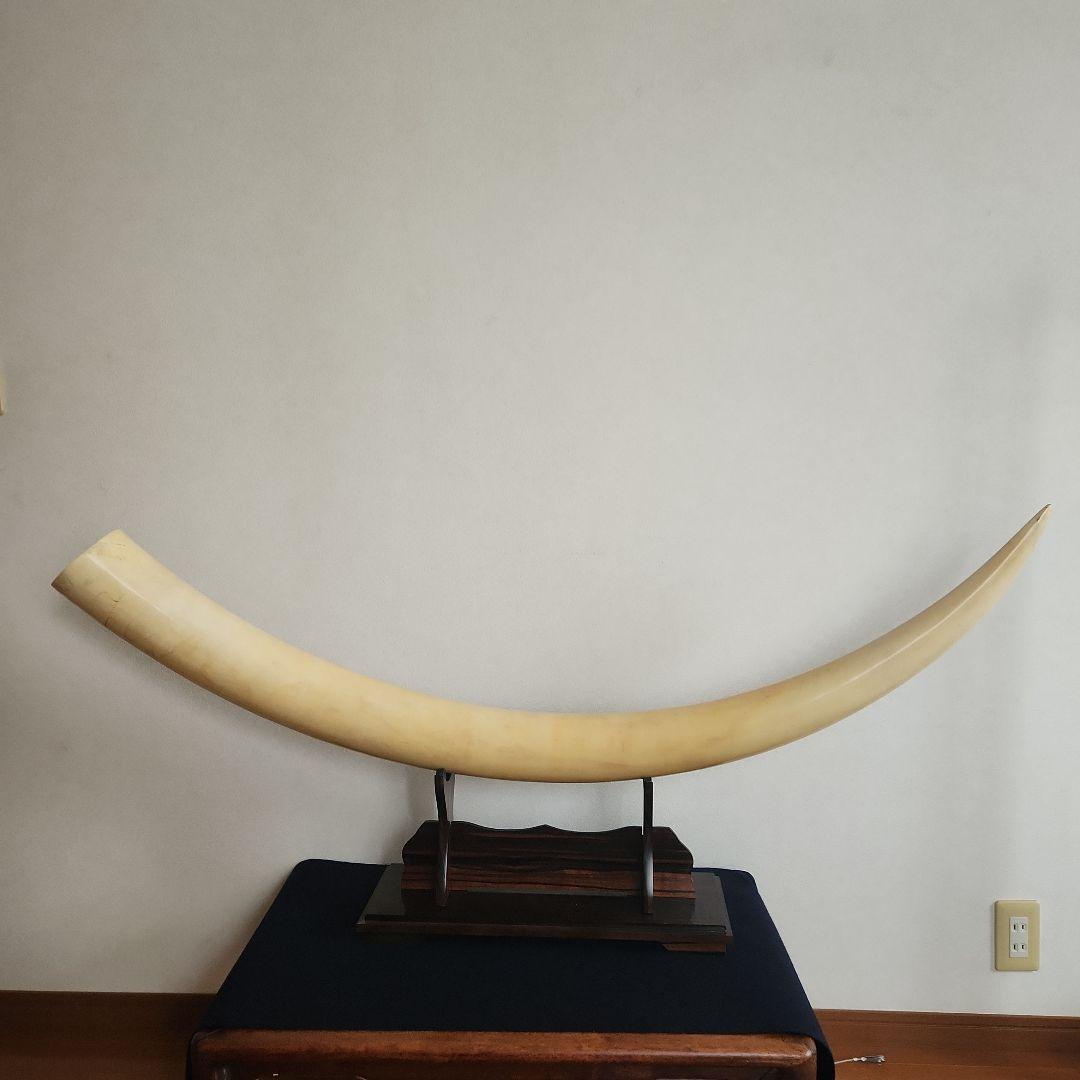 天然素材‥白材置物 楽天市場】IwaiLoft 天使 置物 彫像 白 オブジェ ガーデンオブジェ