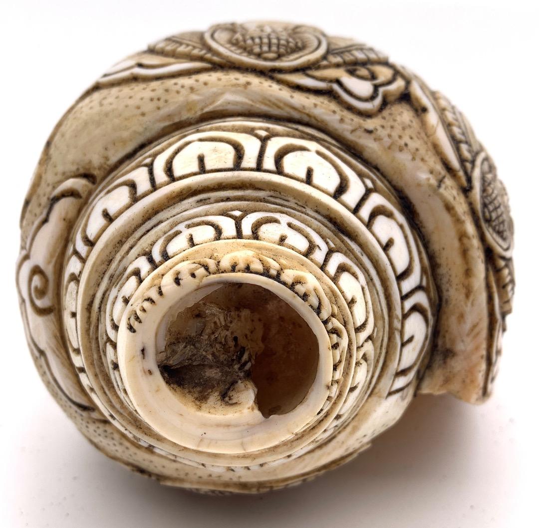 ◇チベット密教法具 法螺貝（シャンカ）ブッダ 釈迦如来 五智如来 五仏-1