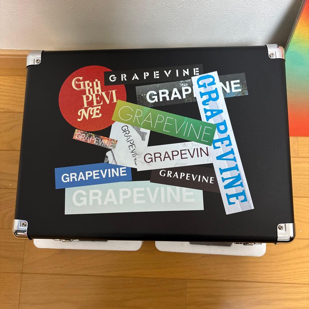 GRAPEVINE ポータブルアナログプレーヤー アナログ盤セット