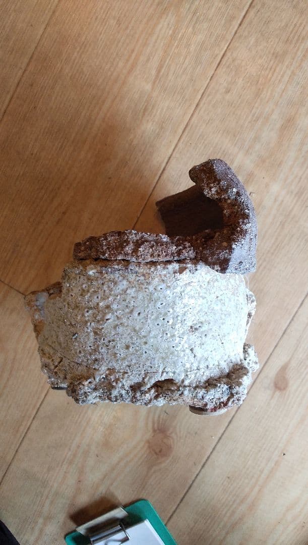 さや.信楽焼．不作為の芸術