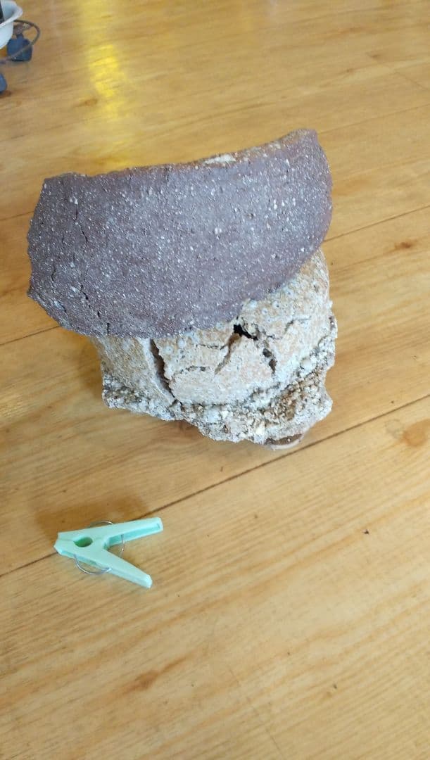 さや.信楽焼．不作為の芸術