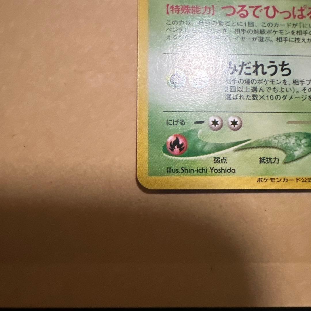 ポケモンカード 旧裏 わるいフシギバナ わるいフシギソウ