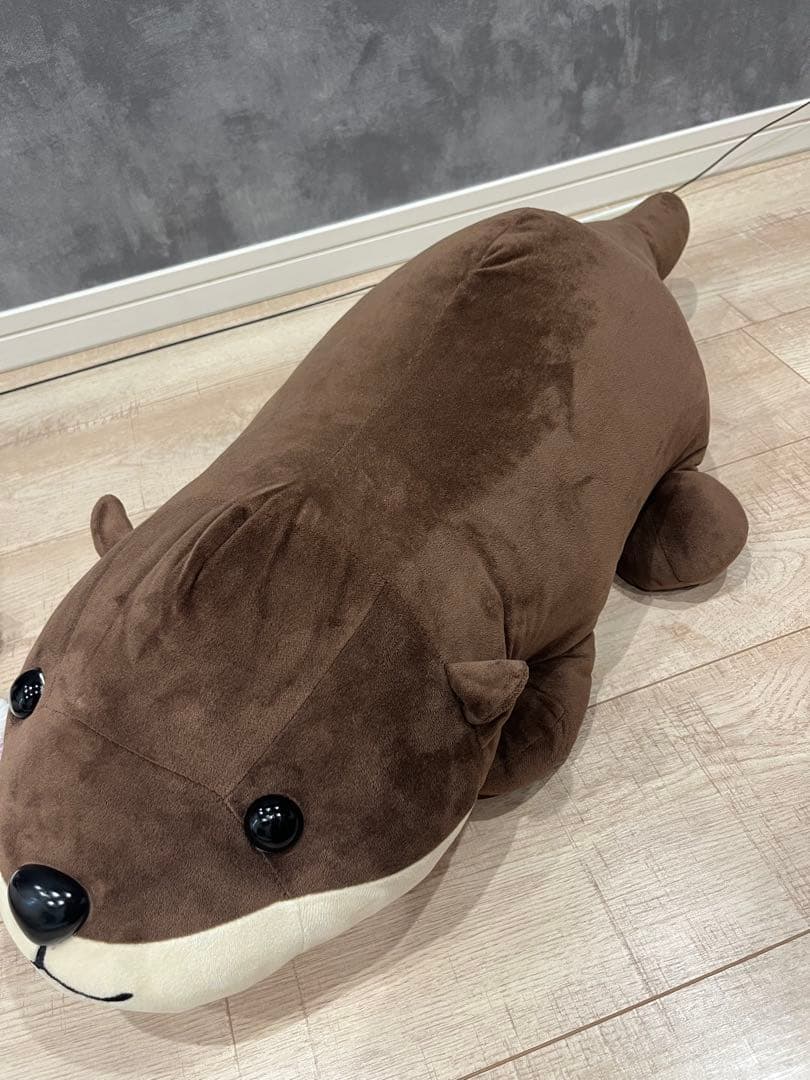 名古屋港水族館　南知多ビーチランド　スピードくじ　特賞　激レア