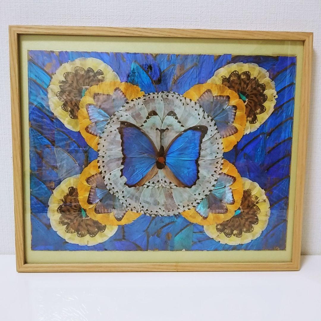 蝶絵画蝶の羽羽根細工バタフライアート