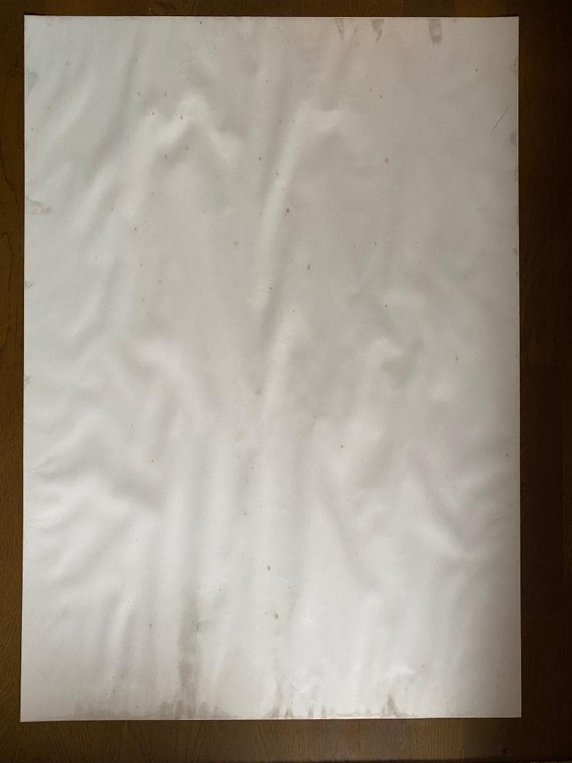 ジャンルー・シーフ 1994年大型ポスター 直筆サイン入り 貴重