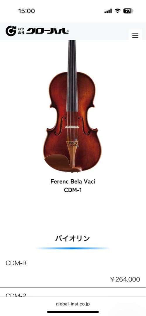 Ferenc Bela Vaci CDM-Rバイオリン 弓、ケース、付属品付き