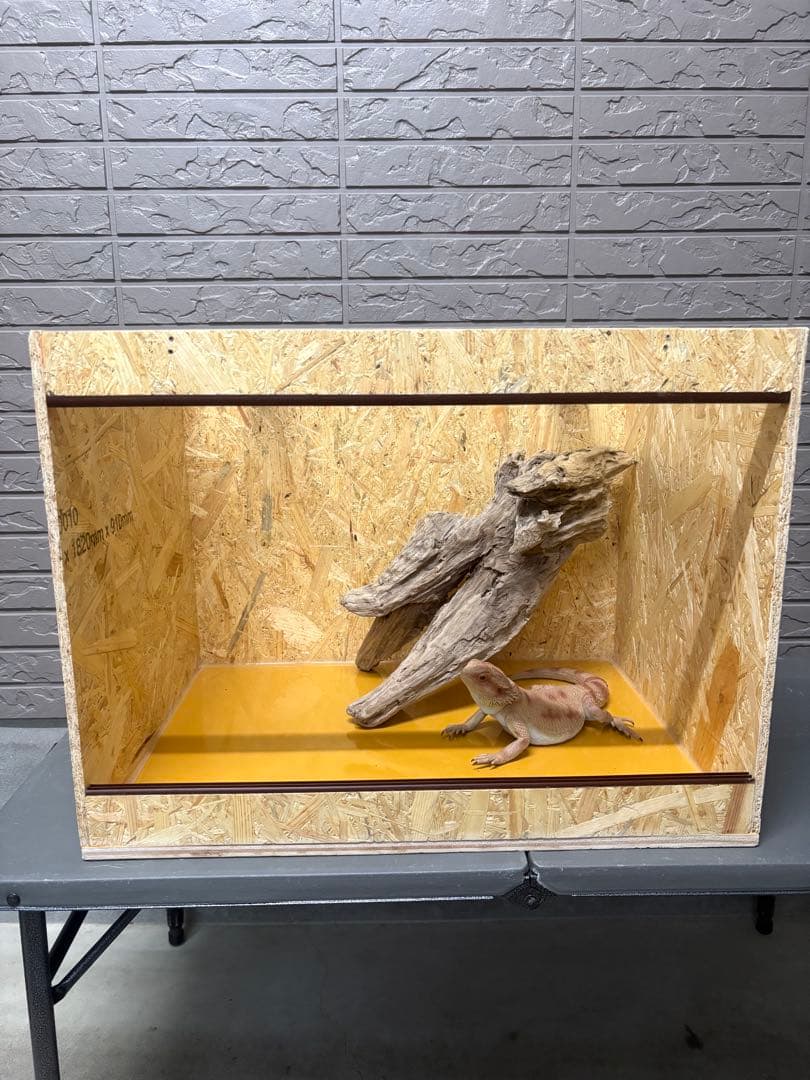 爬虫類飼育ケージ　OSB木製ケージ OSB材で作る！爬虫類自作ケージを紹介。