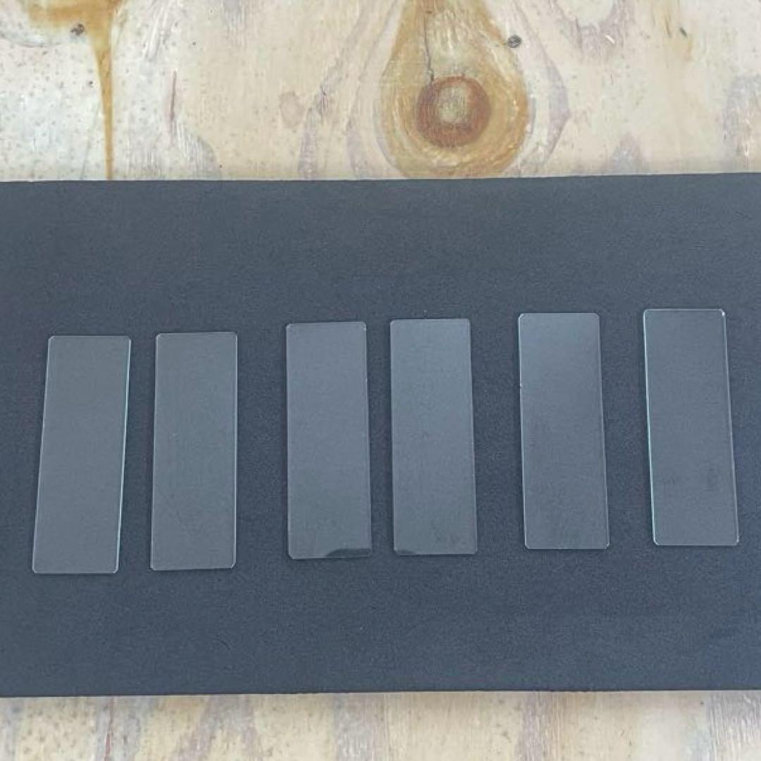 生物 昆虫採取 解剖セット 標本セット 実習キット