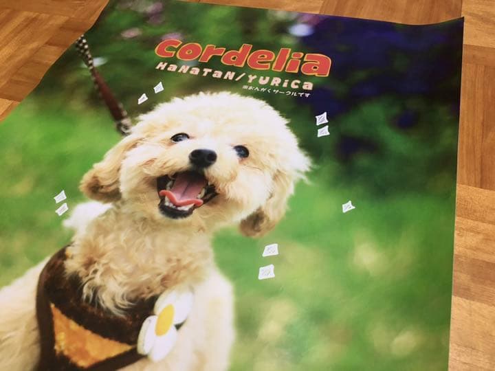 YURiCa/花たん cordelia ポスター 直筆サイン vtuber