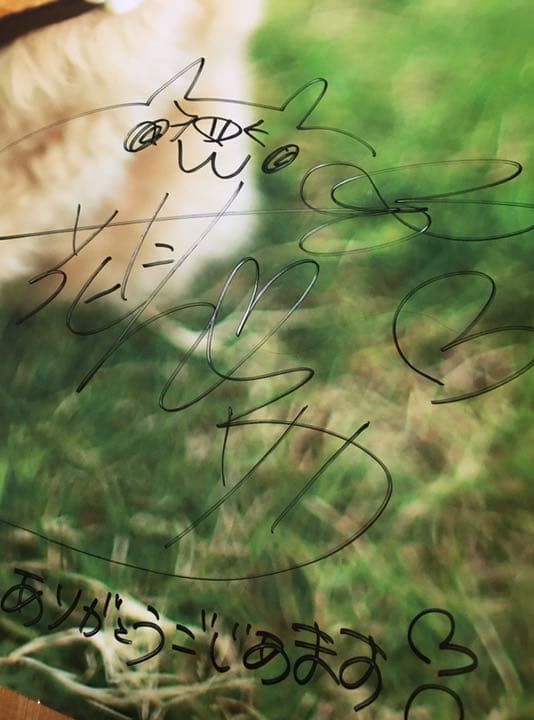 YURiCa/花たん cordelia ポスター 直筆サイン vtuber