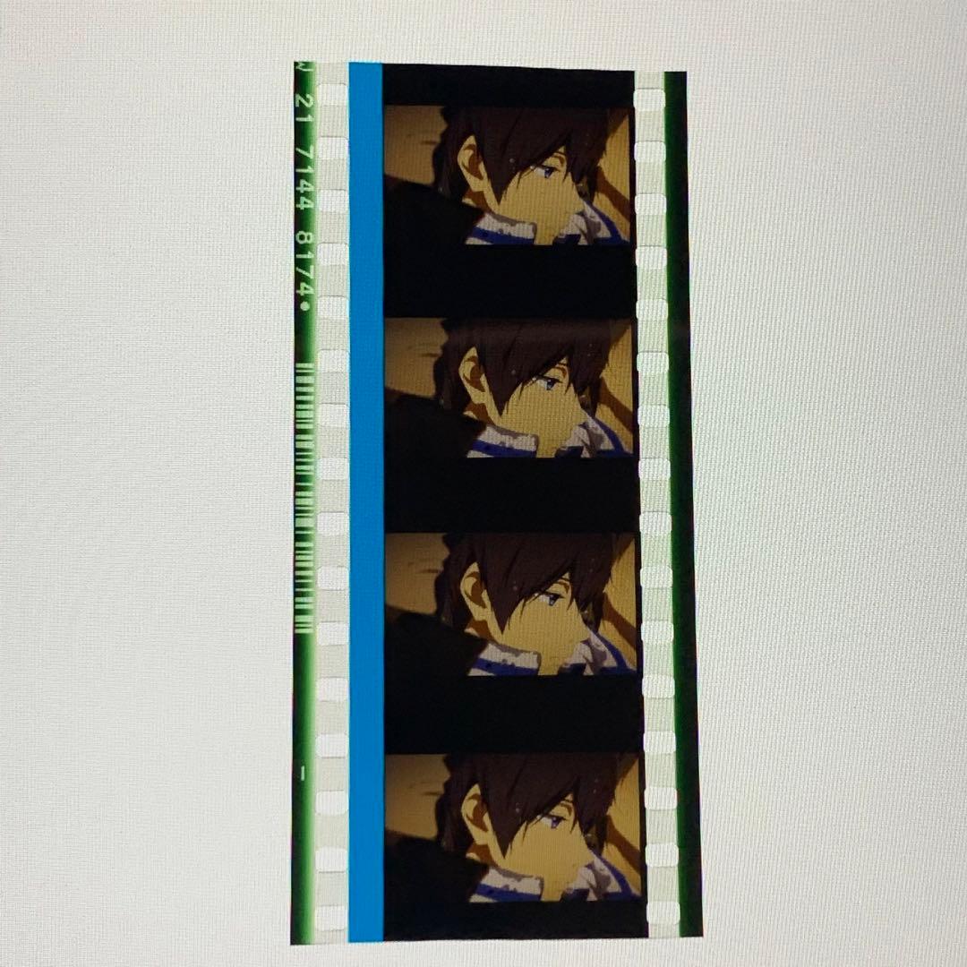 Free! FS 後編 フィルム 遥・凛 劇場版Free! FS コマフィルム 凛・遙