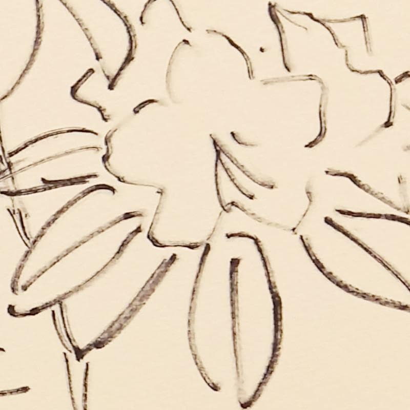 ☆坂本直行☆「 エゾムラサキツツジ 」ペン画　大衣　未使用!