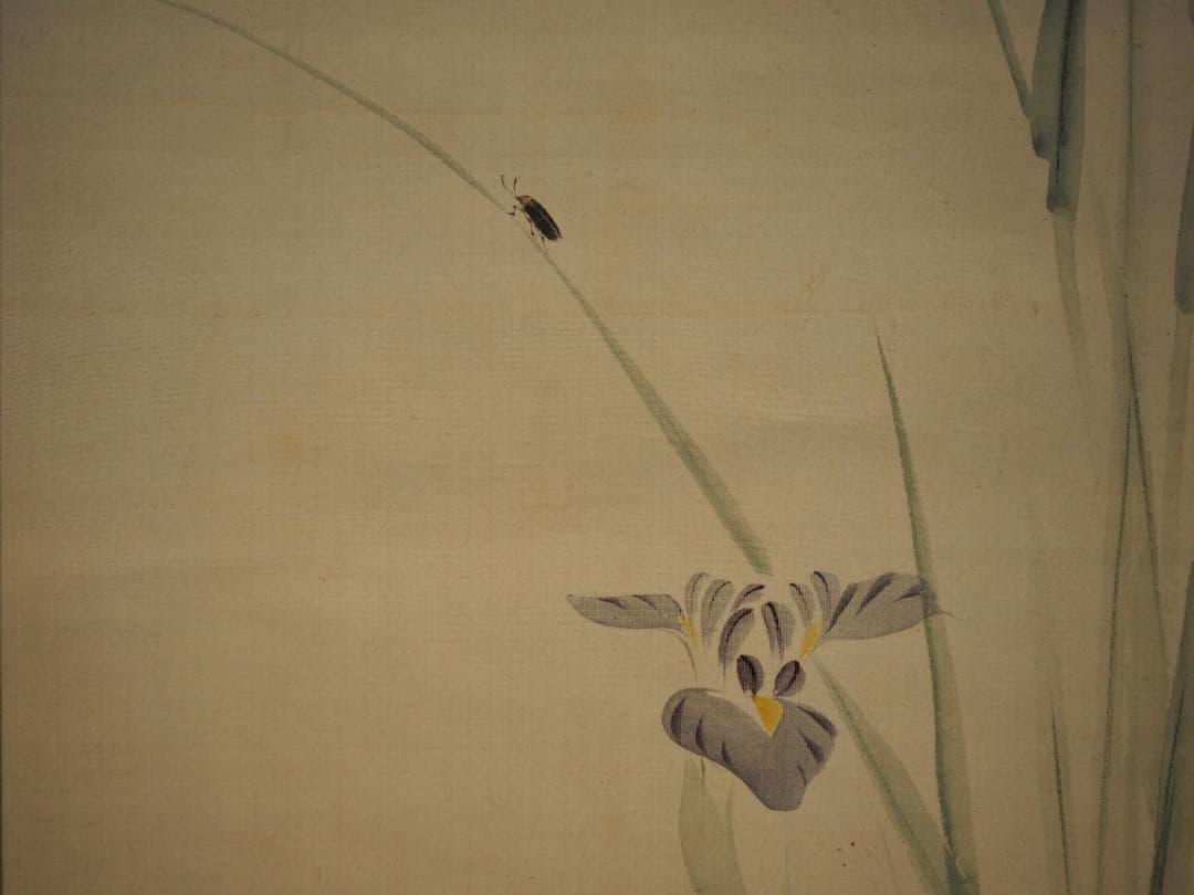 長谷川玉峰自筆『あやめに蛍之図』掛軸