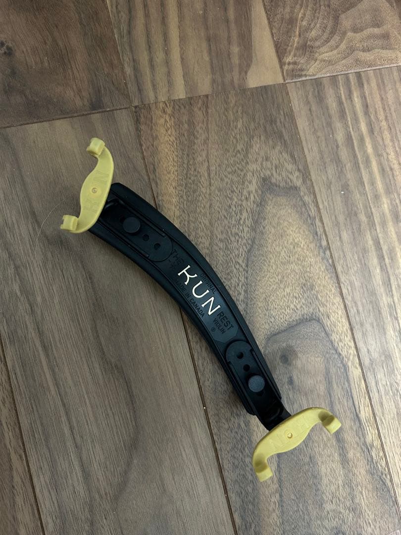 Reghin バイオリン　1/2