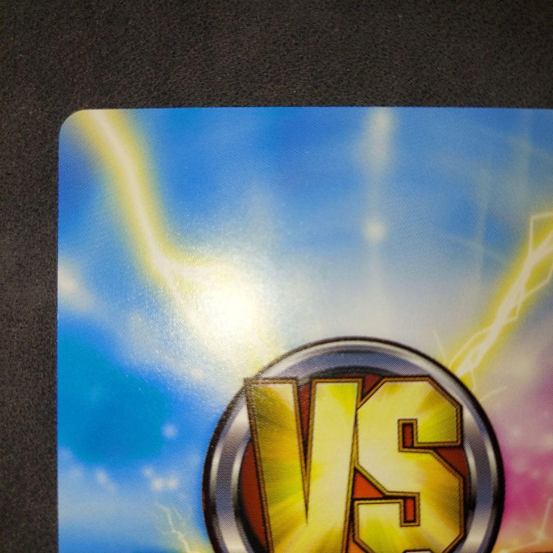 MRR/031 ロロライナ・フリクセル 金箔サイン ヴィクトリースパーク