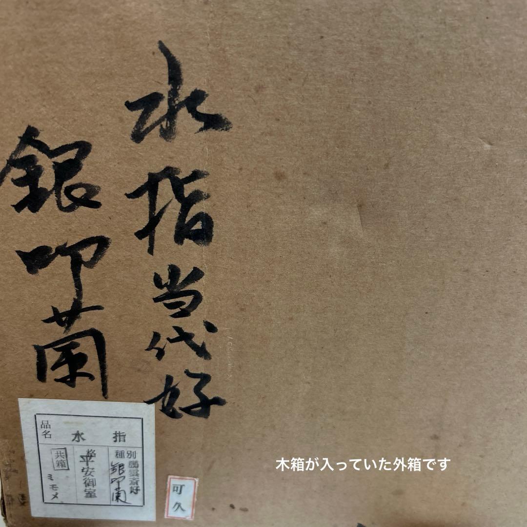 水指 『鵬雲斎好 銀叩蘭』『御室窯』 共箱 茶道具 水指『鵬