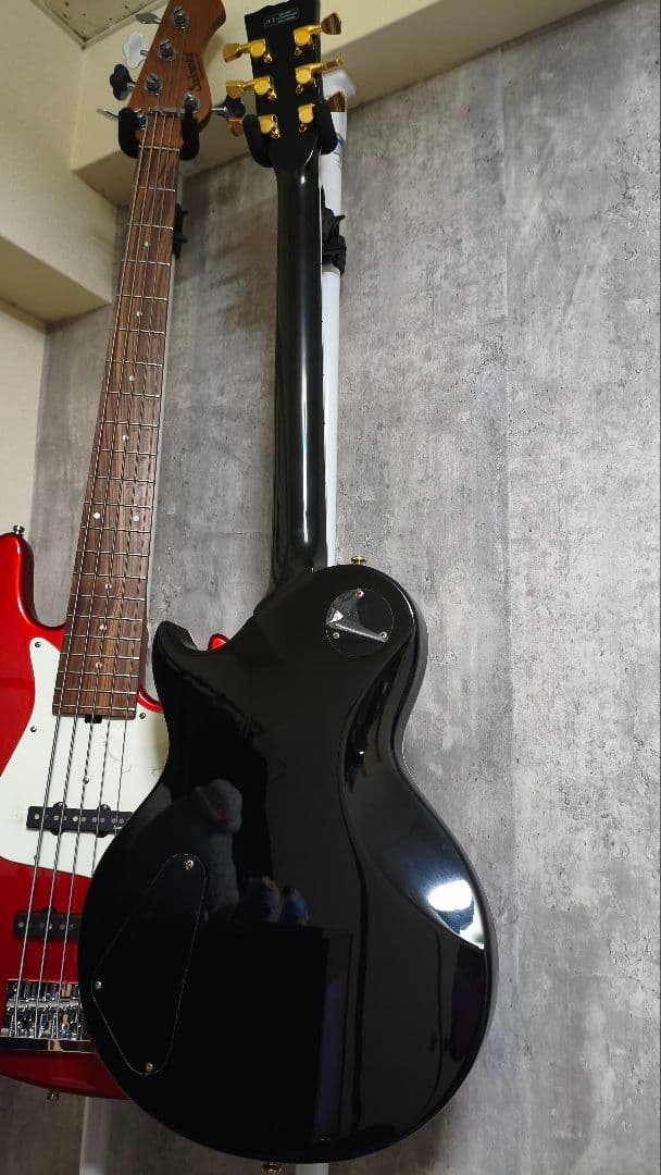 プッフパルトギド　Harley Benton SC-DLX Gotoh