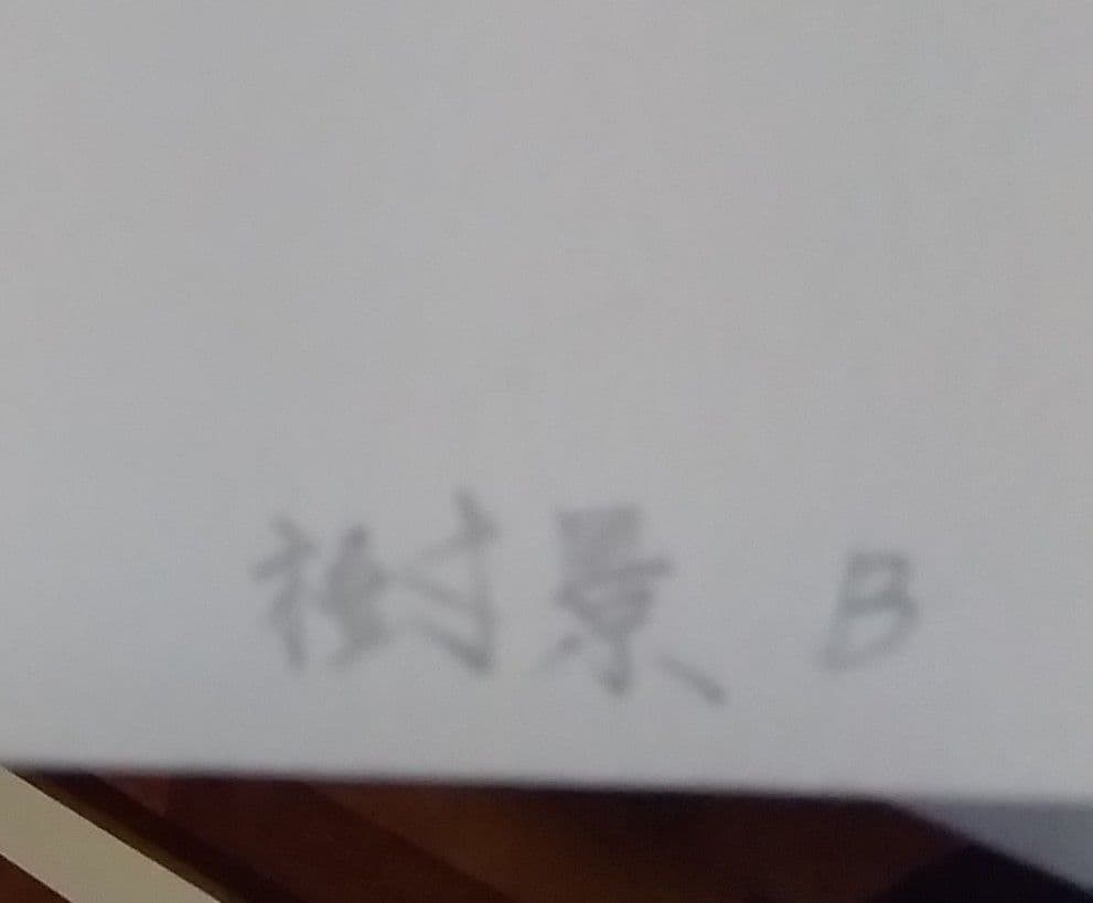 Maison FJ様専用戸村茂樹 リトグラフ 樹景B 木製フレーム