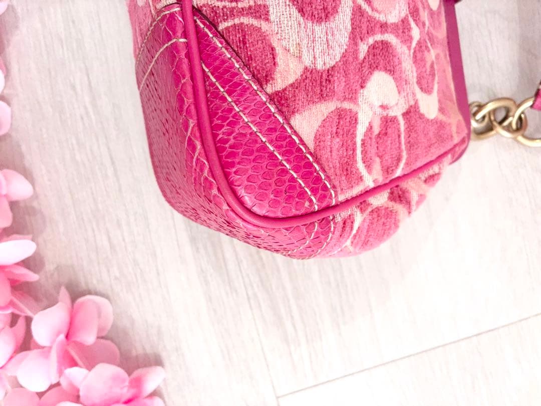 COACH バタフライ　蝶々　バッジ　チャーム　バッグ　ピンク