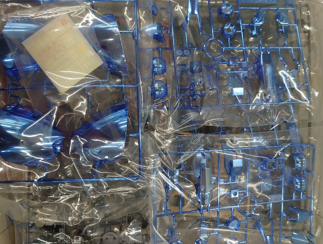 ガンプラ。1/100MG,MS-09ランバ.ラル専用ドム。