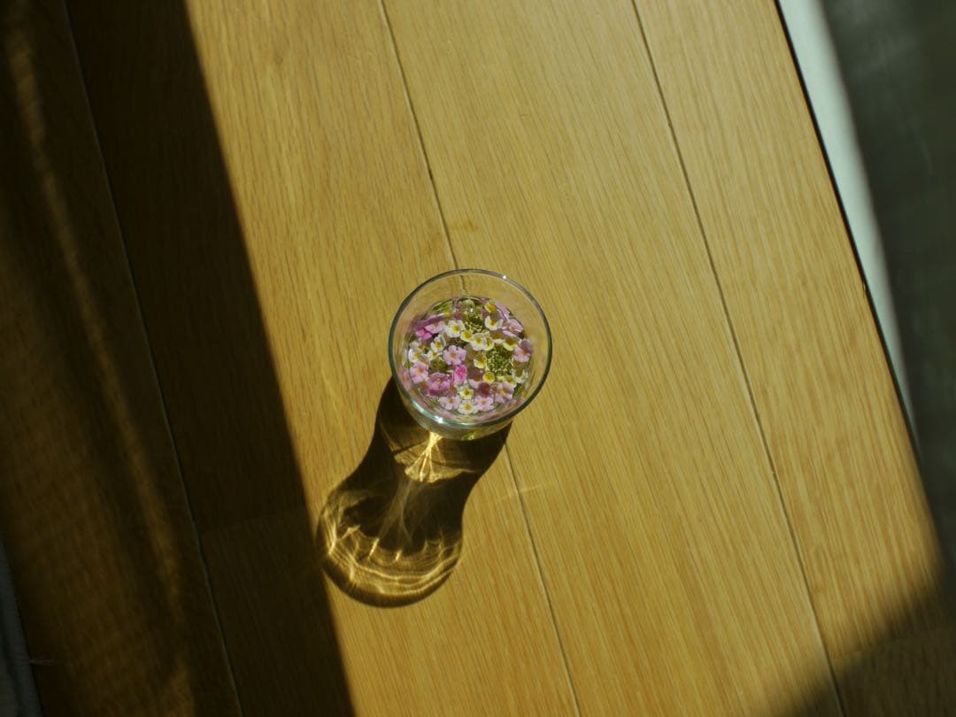 LUMIX GH1 ゴールド ミラーレス ニコンオールドレンズf28 1:3.5