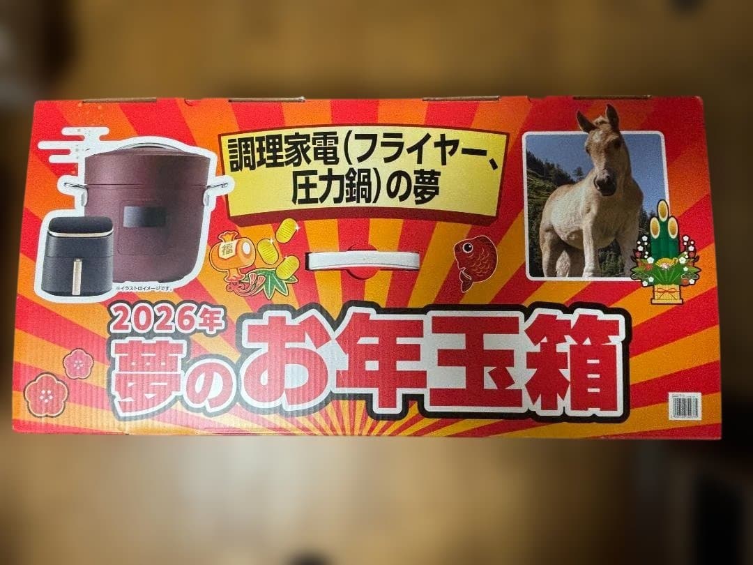 ヨドバシカメラ 夢のお年玉箱 調理家電 (フライヤー、圧力鍋)セット